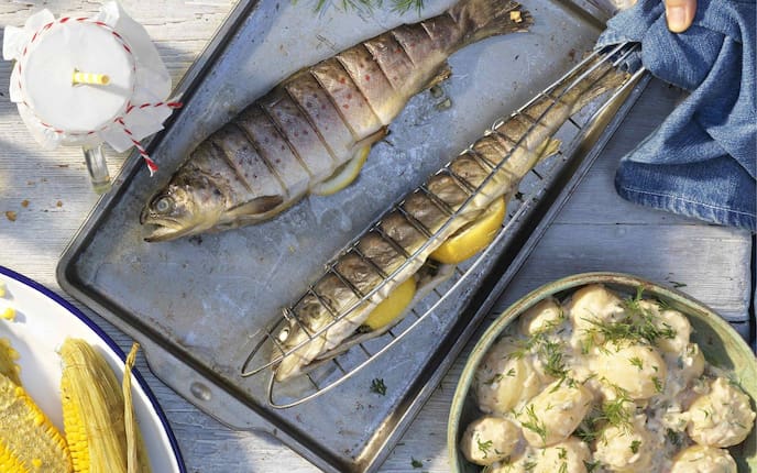 Forelle, räuchern, Maiskolben, Dillkartoffel, Salat, Erdäpfel, Hauptspeise, Fisch, Servus Rezept
