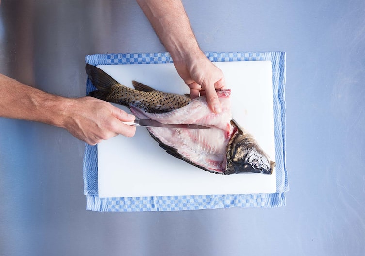 Geschröpfter Karpfen mit Fenchel, Kochschule, Küchenbrett, Küchentuch, Messer