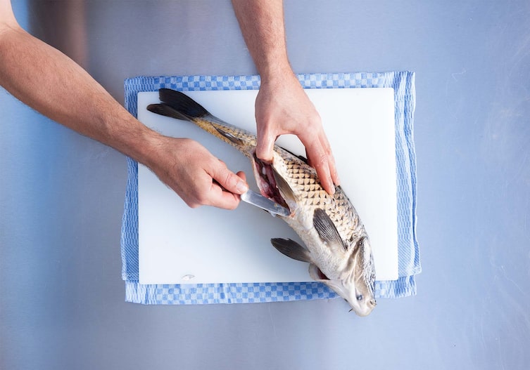 Geschröpfter Karpfen mit Fenchel, Kochschule, Küchenbrett, Küchentuch, Messer, Eingeweide