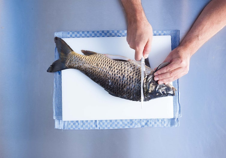 Geschröpfter Karpfen mit Fenchel, Kochschule, Küchenbrett, Küchentuch, Messer