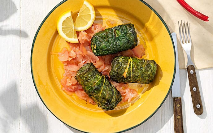 Mangoldblätter-Rouladen mit Fischfüllung, Kochschule, Zitronenscheiben, Apfel-Zwiebel-Confit, Besteck, Teller, Tisch