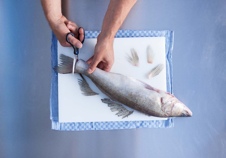 Zander im Salzmantel, Kochschule, Fisch, Schere, Küchentuch, Brett