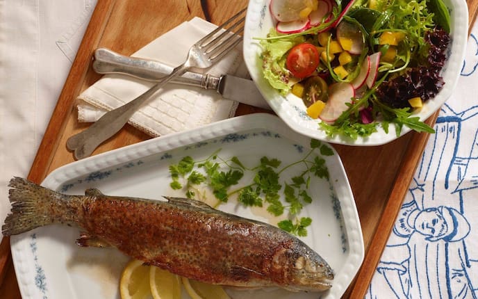 Gemischter Salat, Tomaten, Riedschen, Mais, grüner Salat, Petersilie, Zitronenspalten, gebratener Fisch, Forelle, Hauptspeise, Servus Rezept