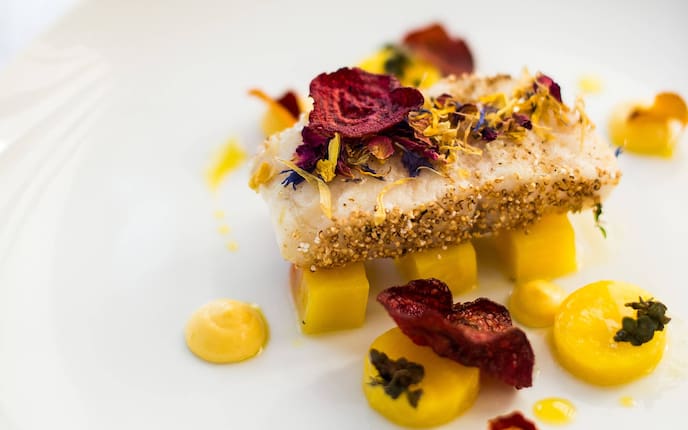 Wels, Waller, Goldrübe, Blüten, Kren, Rote Rüben