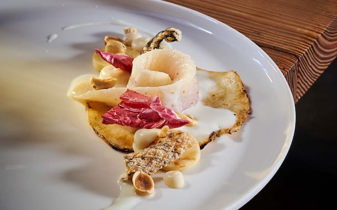 Forelle mit Enzianwurzel, zweierlei Sellerie, Molke und Joghurt, Wirtshaus-Rezept, Holztisch, Teller