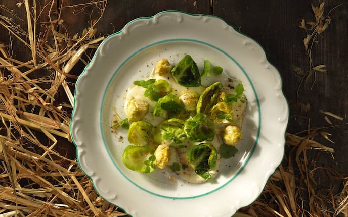 Kohlsprossen, Pastinaken, cremig, Basilikum, Teller, Stroh, Servus Rezept