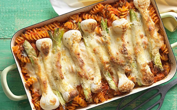 Nudeln, Auflauf, Jungzwiebeln, Parmesan, Auflaufform, Spatel