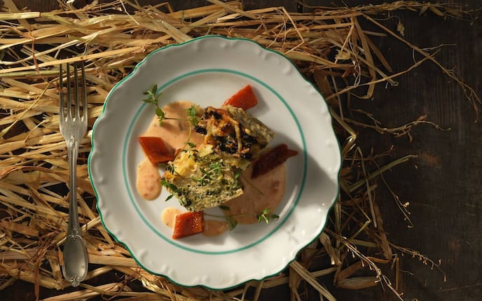 Kraut, Kohl, Kuchen, Bergkäse, Gabel, Stroh, Sauce, Teller, Karotte