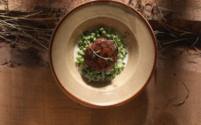 Rindfleischtörtchen, Rahmerbsen, Thymian, Teller