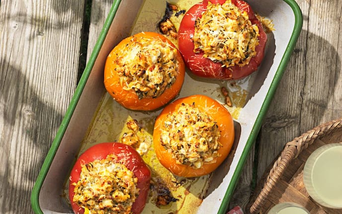 Tomate, Käse, Zucchini, Auflaufform, Ochsenherztomate