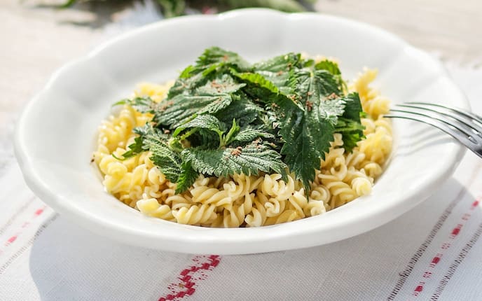 Teller, Brennnesseln, Fusilli, Gabel, Nudeln