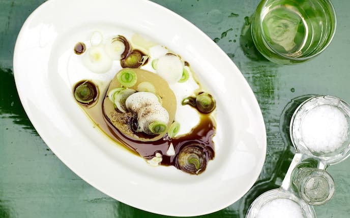 Catalani-Züngerl, Kernöl, Frühlingszwiebeln, Quargel