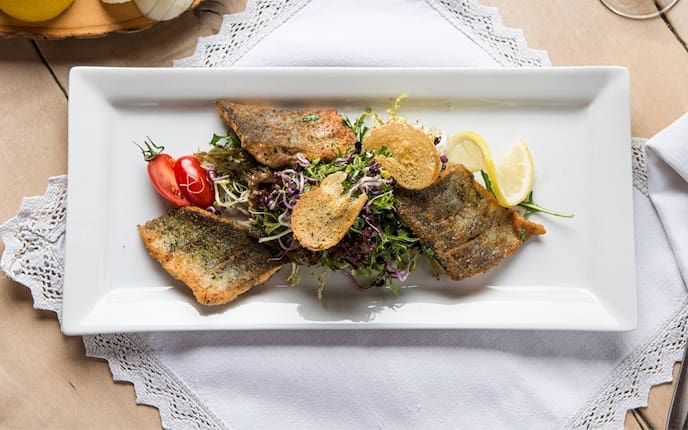 Saiblingsfilet, Blattsalat, Fisch, Tomate, Zitrone