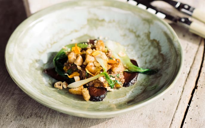 Geschmortes Herz von der Heidschnucke, Kohlblätter, Haselnüsse, Gedeck, Holztisch, Brotwürfel