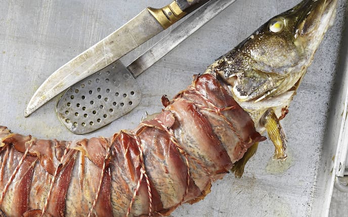 Gefüllter Hecht (Bild: EIsenhut & Mayer)