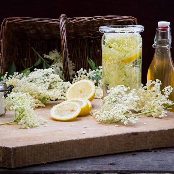 Rezept für Holunderblüten-Sirup (Bild: Mauritius Images)