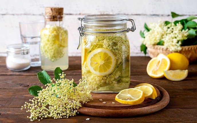 Holunderblütensaft reift in einem Rexglas heran; Rezept