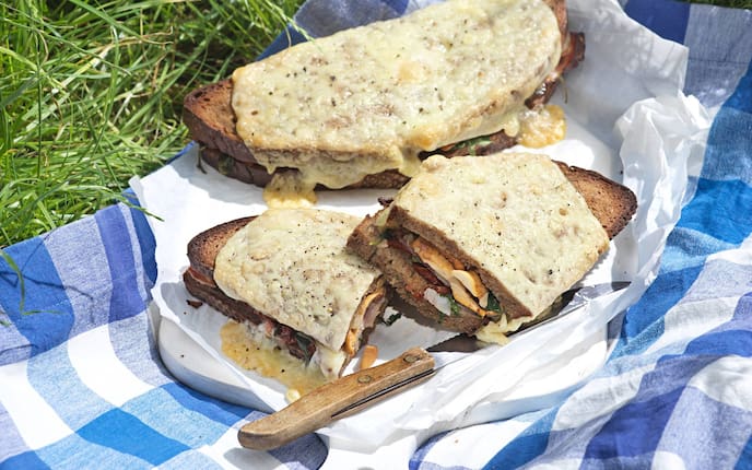 Käse, Bauernbrot, Messer, Schwammerl, Gras, Picknickdecke, Brett