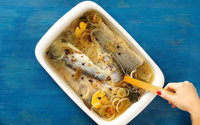 Fisch, eingelegter Fisch, Saibling, Zander, Fisch-Rezept, Servus Rezept