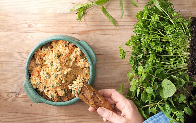 Karotten-Kräuter-Aufstrich, Weckerl, Petersilie, Minze, Estragon