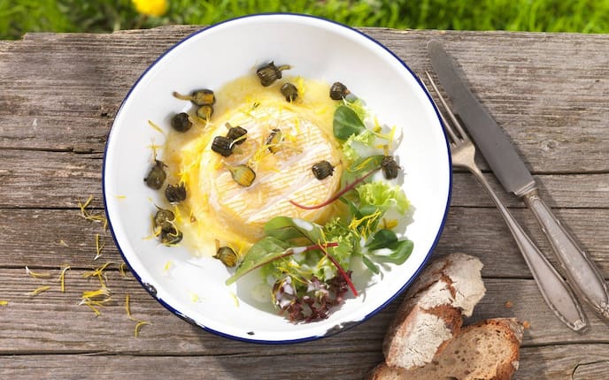 Camembert, Löwenzahnkapern, Blattsalat, Bauernbrot, Frühling, Holzbrett, Servus Rezept
