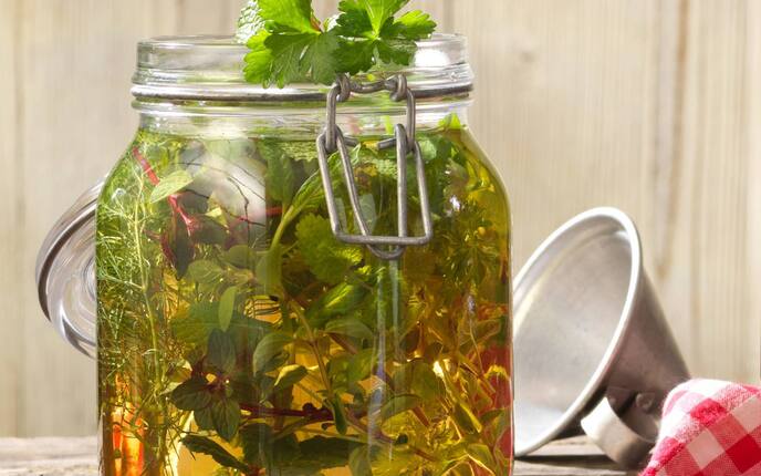 Kräuter-Aioli - 0:15 h - Rezept - Servus Kräuter-Aioli - 0:15 h - Rezept - Servus