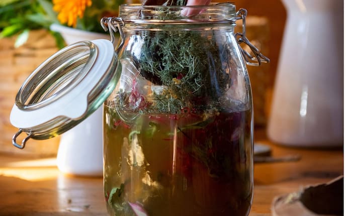 Kräuteressig, Kräuter, Essig, Einmachglas