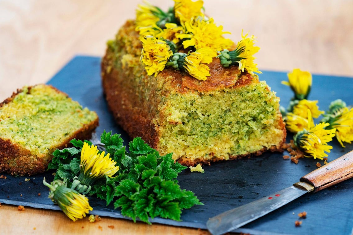 Ein angeschnittenere Löwenzahn-Bärenklau-Kuchen auf dem viele Löwenzahnblüten gelegt wurden, daneben liegen auch Löwenzahnblüten und frische Triebe Bärenklau.