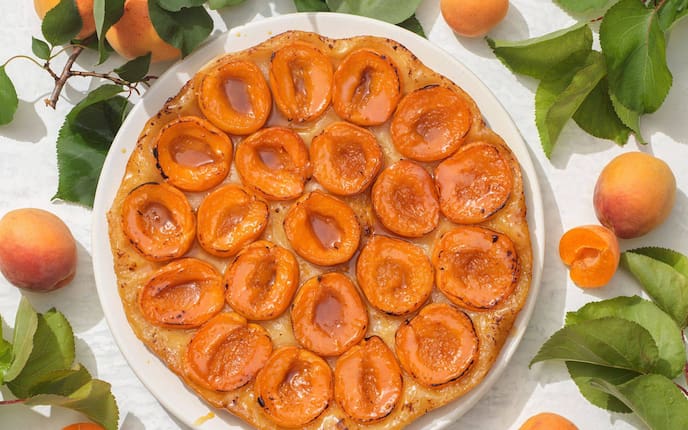 Eine Tarte mit Marillenhälften auf einem runden Keramikteller, darum herum liegen Blätter eines Marillenbaumes und frische Marillen.