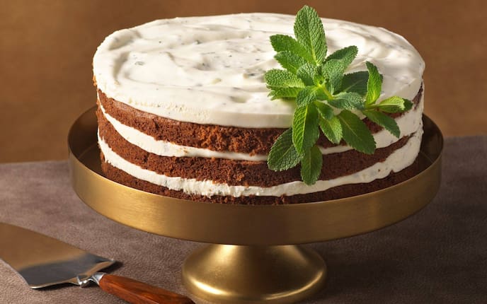 Eine geschichtete Topfencremetorte mit drei dunklen Teigböden und Topfenschichten. Obenauf ist auch eine Topfenschicht mit einem Minzezweig verziert. Die Torte steht auf einem niedrigen Tortenständer aus Messing, daneben liegt ein Tortenheber mit dunklem Holzgriff.