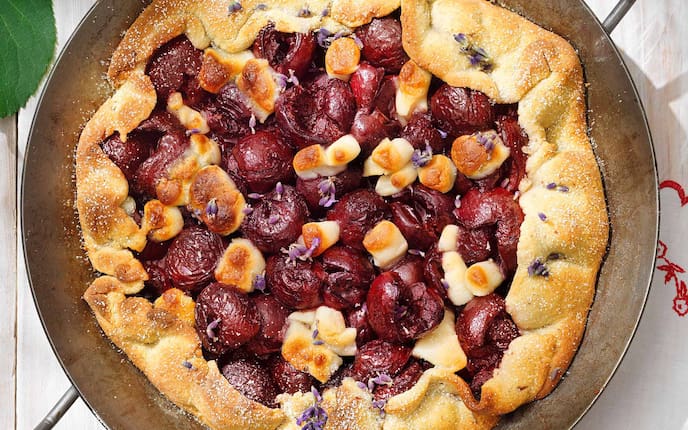 Lavendel-Ricotta-Kuchen - 1:30 h - Rezept - Servus