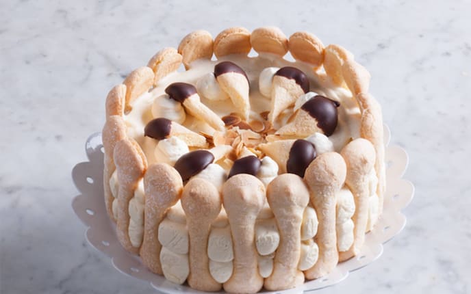 Biskotten, Schokolade, Malakofftorte, Malakoff-Charlotte, Mandeln, Mandelsplitter