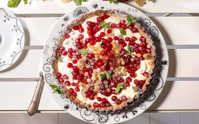 Ribisel-Topfen-Tarte, Minzblätter, Teller