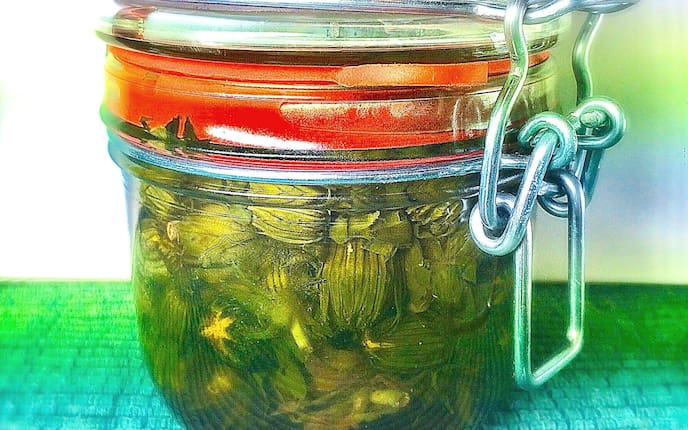 Löwenzahnkapern, eingelegte Löwenzahnköpfe