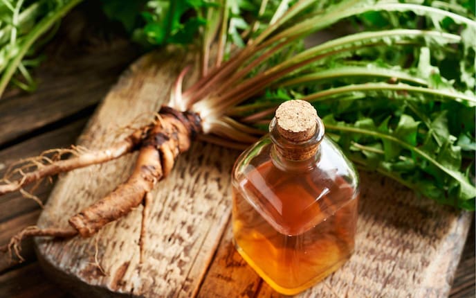 Löwenzahnwurzellikör selber machen, Rezept