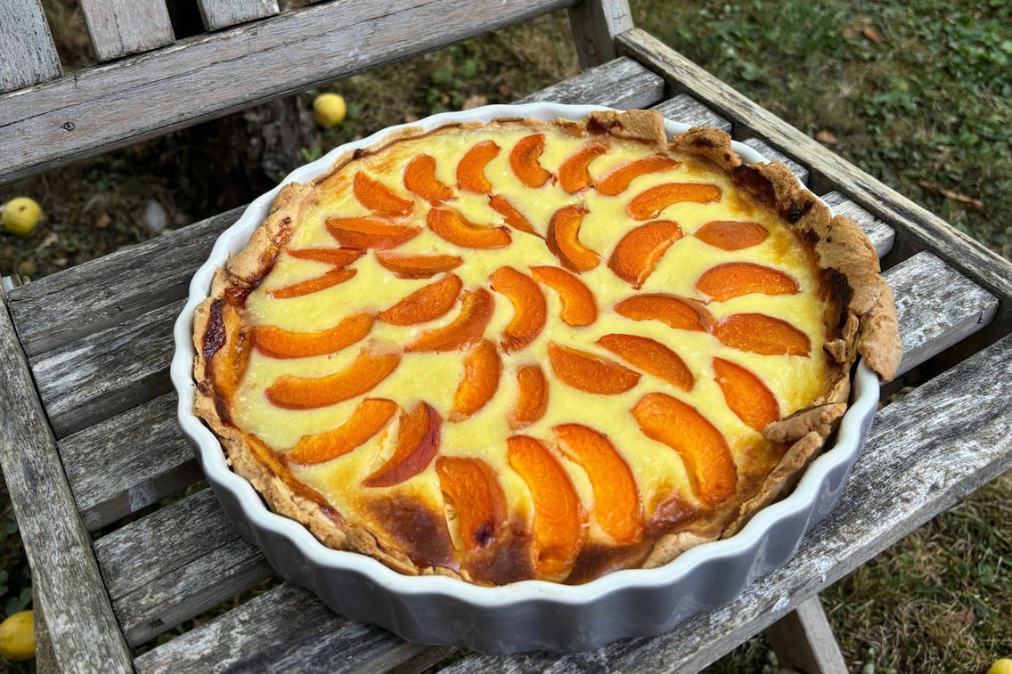 Eine Nahaufnahme von einer Marillentarte auf einem Holzstuhl im Garten.