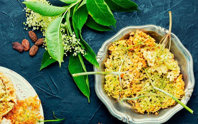 Holunderblüten, Hollerblüten, Hollerkiachl in Backteig, Backteig, gebacken, Süßspeise, Nachspeise, Servus Rezept