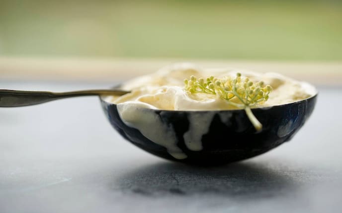 Joghurt, Eis, Rezept, Holler, Servus