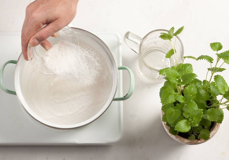 Zitronenmelisse, Messbecher, Schüssel, Topf, Zucker, Hand