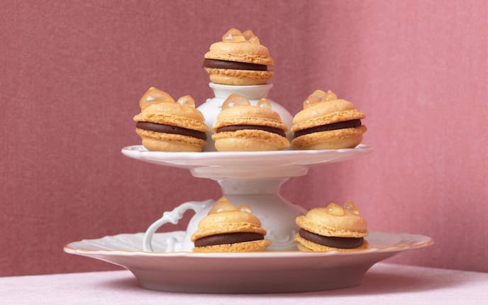 Makronen, Schokoganache, Zitronengel, Nachspeise, Servus Rezept