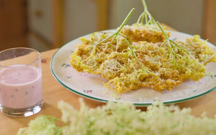 Holunderblüten, Hollerstrauben, Buttermilch