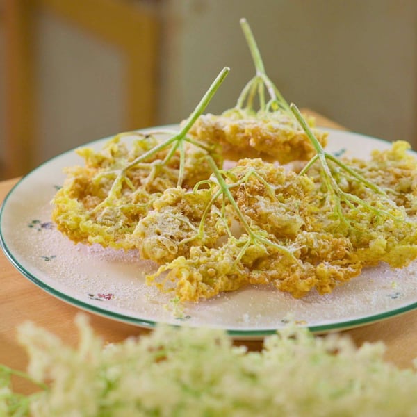 Holunderblüten, Hollerstrauben, Buttermilch