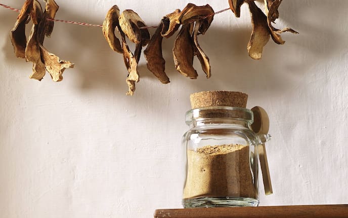 Pilzpulver mit Parasol, Pilz, Schwammerl, Pulver, Würzmittel, Pilzpulver Rezept, Servus Rezept