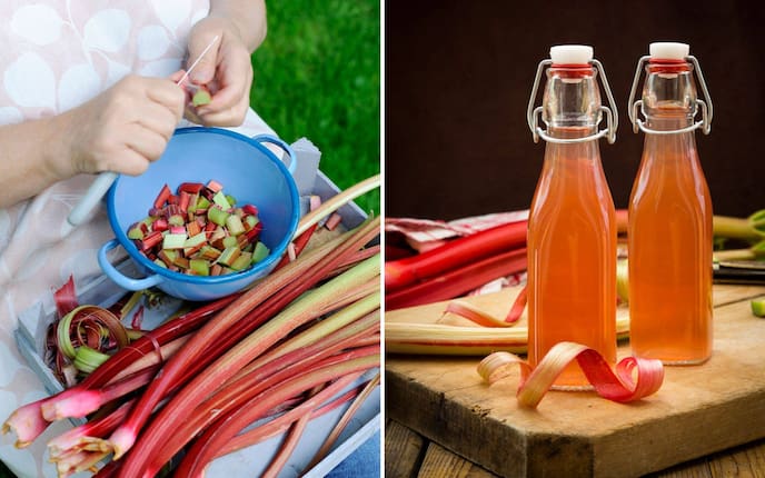 Rhabarberschalen werfen wir nicht weg. Wir zaubern daraus einen fruchtigen Sirup! Rezept für Rhabarbersirup aus Schalen