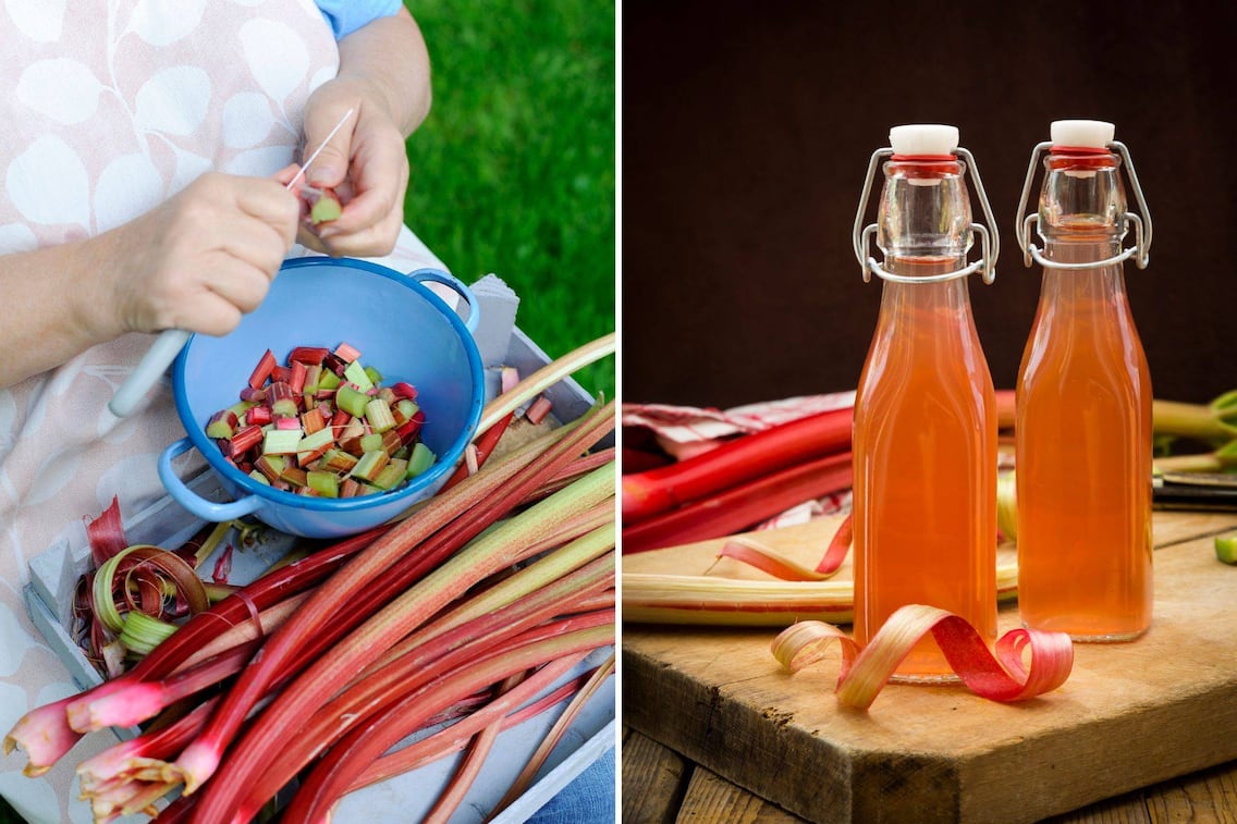 Rhabarberschalen werfen wir nicht weg. Wir zaubern daraus einen fruchtigen Sirup! Rezept für Rhabarbersirup aus Schalen