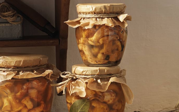 Sauer eingelegte Eierschwammerl, eingelegte Pilze, saure Pilze, eingemachte Pilze, Eingemachtes, Servus Rezept