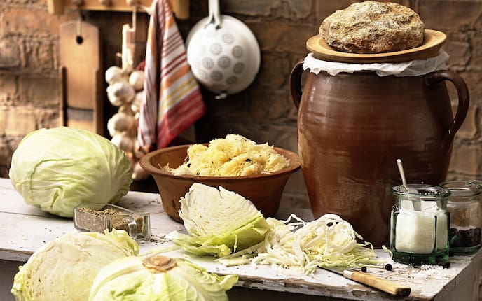 selbst eingelegtes Sauerkraut, Küchenwissen, Tradition, Medizin