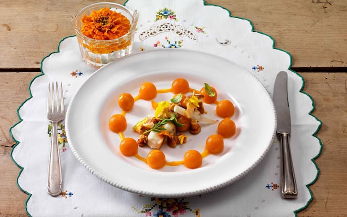 Gailtaler Schotten mit Kürbis (Bild: Eisenhut & Mayer)