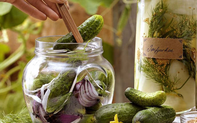 Senfgurken (Bild: Eisenhut & Mayer)