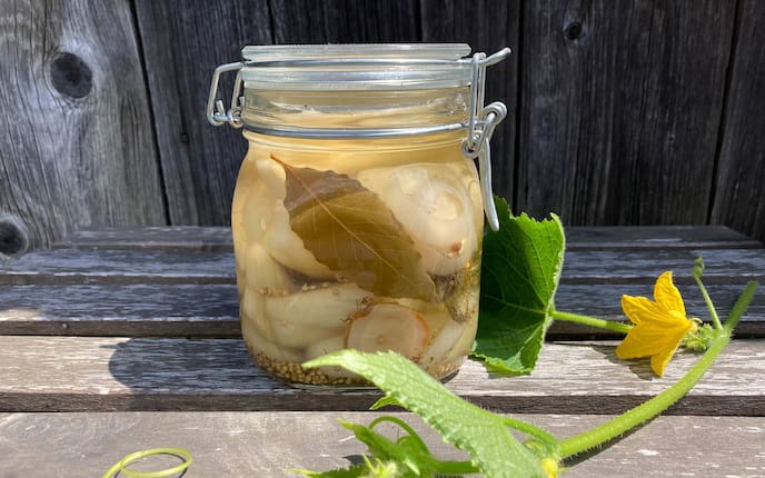 Einkochen, einmachen, Rezept, Senfgurken